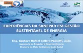 EXPERIÊNCIAS DA SANEPAR EM GESTÃO SUSTENTÁVEL DE … · SGF: Sistema de Gerenciamento das Faturas de Energia Elétrica Gestão regionalizada de contas e contratos Gestão dos adicionais