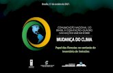 Papel das florestas no contexto do Inventário de Emissõesredd.mma.gov.br/images/gttredd/robertacantinho_inventarioemissoes.pdf · 1. Contextualização; 2. Comunicações Nacionais,