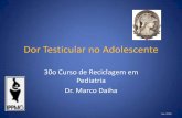 Dor Testicular no Adolescente - Dr. Marco Daiha | …€¢Dor irradiada para região inguinal e bolsa escrotal homo lateral Cipe- IPPMG Afecções agudas da bolsa escrotal •Torção