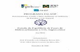 PROGRAMA EQ-ANP - Escola de Química da UFRJ ii Mehl, Ana Estudo do equilíbrio de fases de hidrocarbonetos e CO2 supercrítico/ Ana Mehl. Rio de Janeiro: UFRJ/EQ, 2009. xx, 210 p.;