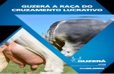 GUZERÁ A RAÇA DO CRUZAMENTO LUCRATIVO - …selecaodafasf.com.br/wp-content/uploads/Guzerá-A-Raça-do... · quanto à produção da proteína Beta Caseína A2. O resultado demonstrou