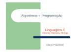 Algoritmos e Programação Linguagem C - Início — UNIVASF …univasf.edu.br/.../arquivos_algprog/P_aula4C.pdf · 2010-05-20 · caractere imprim ível na tela ( não leva espa