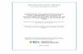 Relatório de Atividade Profissional e uma Comparação do ... · Licenciada em Engenharia Química Relatório de Atividade Profissional e uma Comparação do Estudo da Conservação
