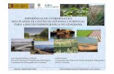 EXPERIÊNCIA DE COORDENAÇÃO DOS PLANOS DE … · experiÊncia de coordenaÇÃo dos planos de gestÃo de espanha e portugal para a regiÃo hidrogrÁfica do guadianaguadiana ministério