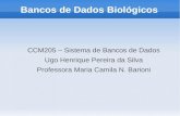 Bancos de Dados Biológicos - professor.ufabc.edu.brprofessor.ufabc.edu.br/~camila.barioni/arquivos/sbd_ugo.pdf · ambiental, os dados de expressão gênica, taxonomia, informações