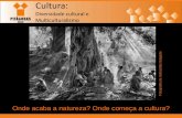 Diversidade cultural e Multiculturalismo - COLÉGIO ATENAScolegioatenas.com.br/controle/files/1c58c49b0c300e063360a8c731ec8f... · Diversidade cultural e Multiculturalismo DIVERSIDADE