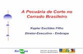 A Pecuária de Corte no Cerrado Brasileiro - Embrapa Cerradossimposio.cpac.embrapa.br/palestras/painel4/palestrapainel4fernando... · Estimativa de distribuição das pastagens na