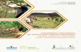 EXPERIÊNCIAS INOVADORAS NA AGRICULTURA FAMILIAR …fidamercosur.org/claeh/images/2017/Publicaciones/Experiencias... · 1 experiÊncias inovadoras na agricultura familiar brasileira: