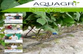 COTR - aquagri.com 09 Aquagri News n2.pdf · gestão dinâmica da rega durante o dia» João Cortes, ... Fruta com excelente ... «o apoio na gestão da rega veio melhorar a qualidade