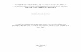 PONTIFÍCIA UNIVERSIDADE CATÓLICA DE SÃO PAULO - Pedro P. Bocca.pdf · RESUMO Esta dissertação analisa o cenário político latinoamericano após o fracasso da proposta ... implementation