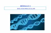 BIOLOGIA MOLECULAR - iq.usp.br · Polinucleotídeos: > 50 unidades . A dupla hélice do DNA. Evidências. o CH CH N . Nucleosídios Estrutura. Um nucleosídio é formado por uma base