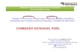 COMISSÃO ESTADUAL P2R2 - Fundacentro · Marco Antonio José Lainha (MSc/Bel) Analista de Controle Ambiental ... INDIRETAS GOVERNO ENCHENTES INDUSTRIALI-ZAÇÃO TRANSPORTE COMERCIALI-ZAÇÃO