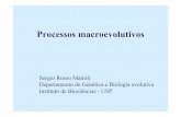 Processos macroevolutivos - Genética e Biologia …dreyfus.ib.usp.br/bio103/proc_macro.pdfPadrões e processos Tanto o “gradualismo filético” como o “equilíbrio intermitente”