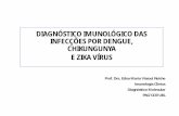 DIAGNÓSTICO IMUNOLÓGICO DAS INFECÇÕES POR DENGUE ... · causa quadro clínico semelhante à dengue. • O Brasil é um dos países com maior diversidade de flavivírus • DEN