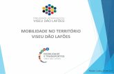 MOBILIDADE NO TERRITÓRIO VISEU DÃO LAFÕES · necessidades de mobilidade geral da população necessidades específicas de mobilidade escolar deslocações das populações mais