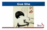 Gua Sha - portalunisaude.com.br SHA 2018.pdf · Material produzido pelo professor: 2 GUA – técnica de movimentar, raspar, escovar, arranhar; SHA – para fora, exteriorizar, sinal.