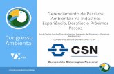 Gerenciamento de Passivos Ambientais na Indústria ...viex-americas.com/2016/wp-content/uploads/2018/06/Jose-Carlos... · Gerenciamento de Passivos Ambientais na Indústria: Experiência,