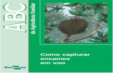 ABC da Agricultura Familiar - Principal - Agropedia brasilisainfo.cnptia.embrapa.br/digital/bitstream/item/128252/1/... · 2017-07-12 · no lugar da caixa-padrão, como uma caixa