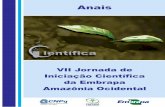 Anais - Principal - Agropedia brasilisainfo.cnptia.embrapa.br/digital/bitstream/item/111395/1/VII... · florísticas da trilha, ... angelim-pedra, que media mais de 5 ... Frequência