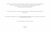 Dissertação de Mestrado - Ilana P Costa Cunhaportal1.iff.edu.br/pesquisa-e-inovacao/pos-graduacao-stricto-sensu... · açúcar, no caso do etanol e soja, sorgo, do ponto de vista