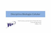 Disciplina Biologia Celular - fea.brfea.br/Arquivos/agronomia/Cristina/Macromolec_Celulares.pdf · • Macromoléculas (alto peso molecular) • Polímeros – Monômeros – Homopolímeros