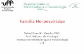 Herpesviridae - virologia.sites.uff.brvirologia.sites.uff.br/wp-content/uploads/sites/236/2017/11/... · • Os eventos oncogênicos são RAROS durante o processo infeccioso • Os