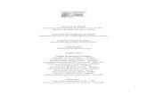 RELATÓRIO-GESTÃO-2004-versão final -edv-gilberto - rose · 3 APRESENTAÇÃO O presente Relatório de Gestão tem por finalidade demonstrar o desempenho do Instituto Evandro Chagas