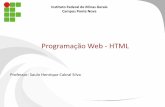 Programação Web - HTMLsauloifmg.com.br/Disciplinas/Web/Aula1.pdf · • A única linguagem que o navegador consegue interpretar ... • O HTML é um conjunto de tags responsáveis