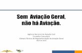 Sem Aviação Geral, não há Aviação. - Para Ser Pilotoparaserpiloto.com/.../2013/04/relatc3b3rio-da-appa-para-a-anac.pdf · FONTE: ABAG E ANAC • Atualmente existem no Brasil