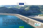 Documento de orientação sobre Os requisitos aplicáveis às ...ec.europa.eu/environment/nature/info/pubs/docs/brochures/HYD... · da escala dos efeitos, bem como da raridade e da