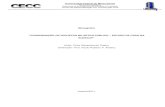Monografia Erica de Castro - cecc.eng.ufmg.br · 2.2 - O processo de projeto – Características, fases, importância da gestão De acordo com SALGADO (2007), o desenvolvimento de