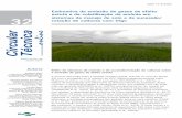 Estimativa da emissão de gases de efeito estufa e da ... · 2 Emissão de GEE e volatilização de amônia em sistemas de manejo de solo e de sucessão/rotação de culturas com