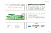 Aula Rec Florestais SAF Resumida 2014 [Modo de ...esalqlastrop.com.br/img/aulas/Aula Rec Florestais SAF.pdf · manejo e colheita Como fazer a operacionalização do sistema Qual a