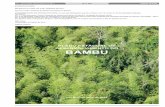 PLANO ESTADUAL DE DESENVOLVIMENTO DO BAMBU · ESTADO DO ACRE DECRETO Nº 5.809, DE 5 DE JANEIRO DE 2017 Aprova o Plano Estadual de Desenvolvimento do Bambu. O GOVERNADOR DO ESTADO