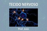 Apresentação do PowerPoint - energiabarreiros.com.br · Classificação dos neurônios quanto à sua função a) Neurônio motor (eferente): Conduz o impulso nervoso do sistema
