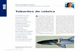 Tubarões de coleira - globalgarbage.org · das por resíduos menos fami-liares que a parte destacável das tampas dos frascos de óleo. Pes-quisadores do Departamento de Oceanografia