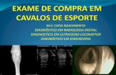 M.V.CATIA NASCIMENTO DIAGNÓSTICO EM RADIOLOGIA …pecnordestefaec.org.br/2015/wp-content/uploads/2015/06/EXAME-DE... · diagnostico em ultrassom locomotor. diagnÓstico em endoscopia.