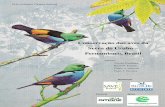 Conservação das aves da Serra do Urubu – Pernambuco, Brasil§ão-das... · A SAVE Brasil (Sociedade para a Conservação das Aves do Brasil) em parceria com a AMANE (Associação