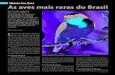 Mundo das Aves As aves mais raras do Brasil - ib.usp.brlfsilveira/pdf/a_2013_cecraridades.pdf · nos de cinco indivíduos do Limpa- Folhas, menos de 20 da Choqui-nha e o Caburé não