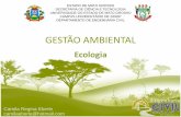 GESTÃO AMBIENTAL - Campus universitário de Sinopsinop.unemat.br/.../foto_p_downloads/fot_5973aula_1_-_ecologia_pdf.pdf · A abordagem de ecossistemas em ecologia descreve os organismos