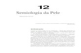 12 - Stoa Socialsocial.stoa.usp.br/articles/0031/7333/12_Semiologia_da_Pele.pdf · nócitos por meio de fatores solúveis, sendo o mais ativo o FGF, produzido pelos queratinócitos