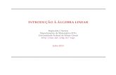 INTRODUC¸AO˜ A` ALGEBRA LINEAR´ - arquivoescolar.orgarquivoescolar.org/bitstream/arquivo-e/110/1/gaalt00.pdf · 1 Matrizes e Sistemas Lineares 1 ... 3.1 Vetores no Plano e no Espac¸o