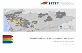 outubro de 2014 - IMT Online · modo sintético, uma resenha de natureza analítica à problemática da mobilidade nos concelhos e cidades não integrados nas AM de Portugal Continental.