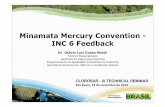 Minamata Mercury Convention - INC 6 Feedback - Clorosurclorosur.org/technicalseminar/wp-content/uploads/1-Presentation... · Convenção de Minamata Artigo 14. Capacitação, assistência