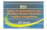 Índice de Expectativas das Fam ílias: Brasil e Grandes ... · Expectativa para o Brasil nos próximos 12 meses - por idade (%) 70,2 67,8 61,7 60,8 60,7 16,3 16,9 19,9 16,9 17,6