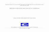 BIOTECNOLOGIA DE CÉLULAS ANIMAIS - w3.ualg.ptw3.ualg.pt/~jbelo/documentos/BCA/Conteúdos BCA2006-07.pdf · Tecnicas assépticas. Normas de segurança e perigos biológicos. Biotecnologia