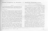 acta.inpa.gov.br · alimentação de peiXžs herbívoros (Junk, 1979) . Para o alimento humano, algumas aquáti. cas, como Neptunia cleracea e Ipomaea aqua- tica (também existentes