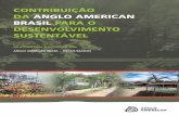 CONTRIBUIÇÃO DA ANGLO AMERICAN BRASIL PARA O …brasil.angloamerican.com/.../pdf/relatorio-para-sociedade-2004.pdf · O níquel, metal que apresenta grande resistência à corrosão