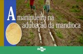 folder manipueira 018 15 - projetobiomacaatinga.com.br · demonstrativa de variedades de mandioca adubada com 3L por cova de manipueira ... as médias de produção de quiabo, ...