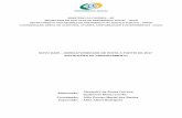 MINISTÉRIO DA FAZENDA MF SECRETARIA DE POLÍTICAS …sa.previdencia.gov.br/site/2017/01/Manual-Novo-DAIR-2017-v1.pdf · coordenaÇÃo-geral de auditoria, atuÁria, contabilidade